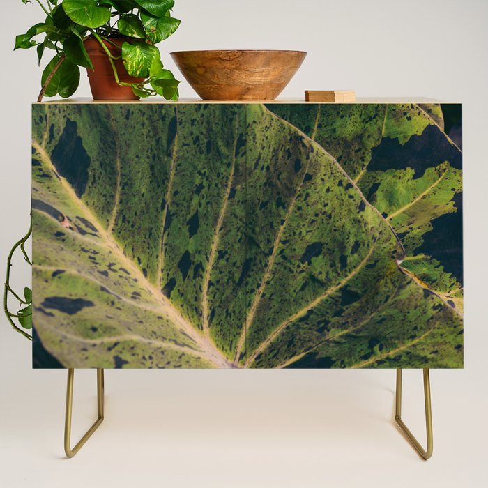 Elephant Ear Photo Study Credenza Gallery Image 1