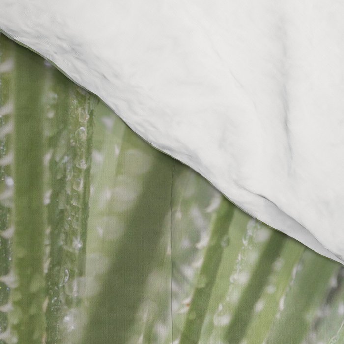 Sage green yucca plant - desert plant mexico - travel photography   Comforter Gallery Image 4