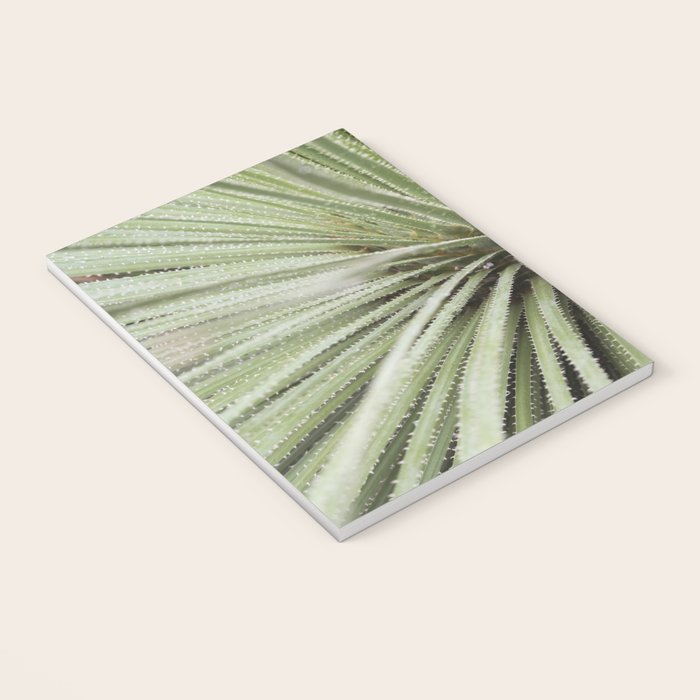 Sage green yucca plant - desert plant mexico - travel photography   Notebook Gallery Image 3