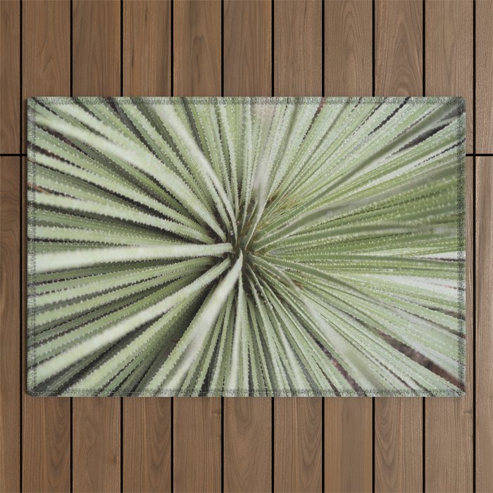Sage green yucca plant - desert plant mexico - travel photography   Outdoor Rug Gallery Image 1