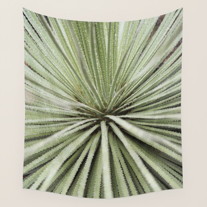 Sage green yucca plant - desert plant mexico - travel photography   Wall Tapestry Gallery Image 1