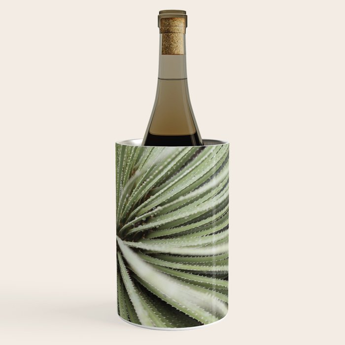Sage green yucca plant - desert plant mexico - travel photography   Wine Chiller Gallery Image 3