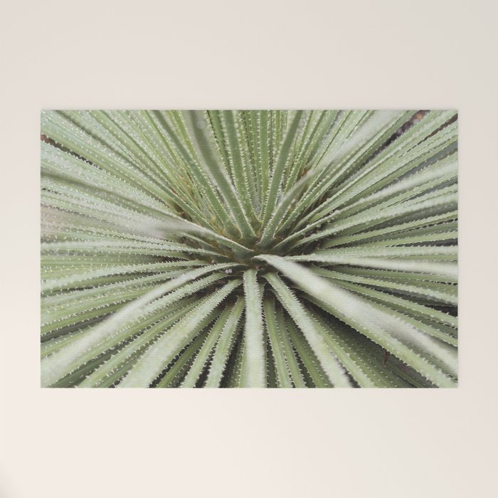 Sage green yucca plant - desert plant mexico - travel photography   Welcome Mat Gallery Image 1
