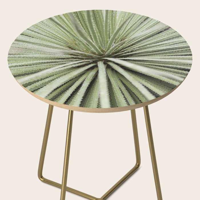 Sage green yucca plant - desert plant mexico - travel photography   Side Table Gallery Image 2