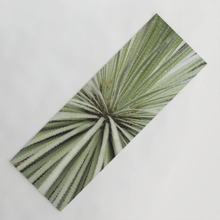 Sage green yucca plant - desert plant mexico - travel photography   Yoga Mat Gallery Image 1