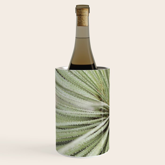 Sage green yucca plant - desert plant mexico - travel photography   Wine Chiller Gallery Image 2