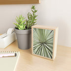 Sage green yucca plant - desert plant mexico - travel photography   Mini Art Print Gallery Image 2