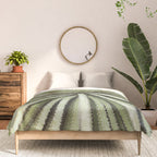 Sage green yucca plant - desert plant mexico - travel photography   Comforter Gallery Image 3