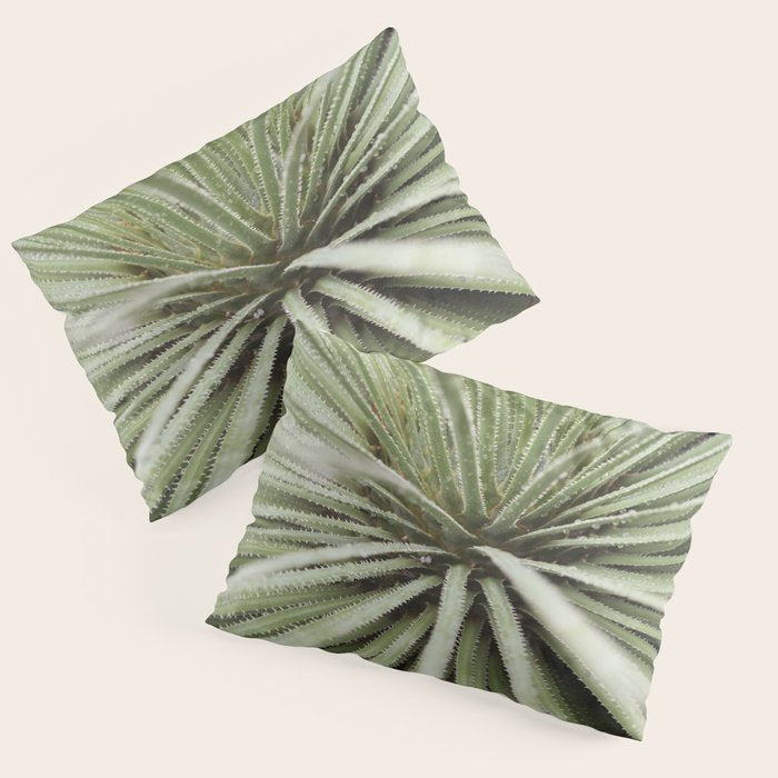 Sage green yucca plant - desert plant mexico - travel photography   Pillow Sham Gallery Image 1