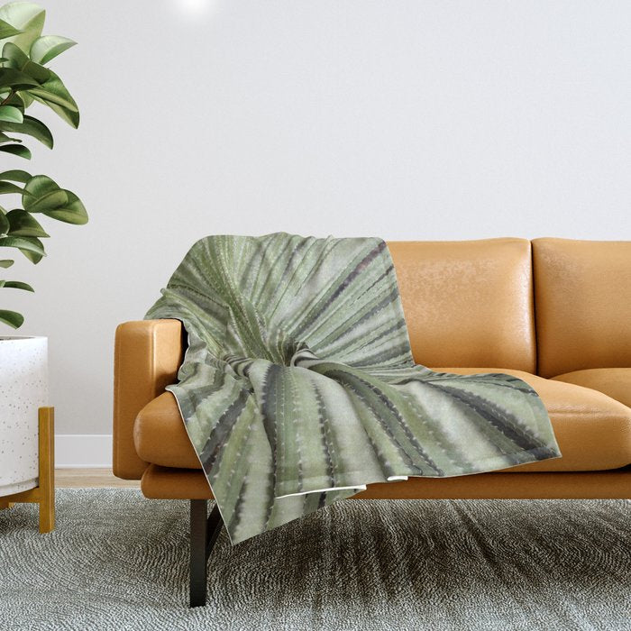 Sage green yucca plant - desert plant mexico - travel photography   Throw Blanket Gallery Image 1