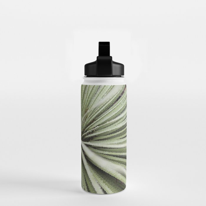 Sage green yucca plant - desert plant mexico - travel photography   Water Bottle Gallery Image 2