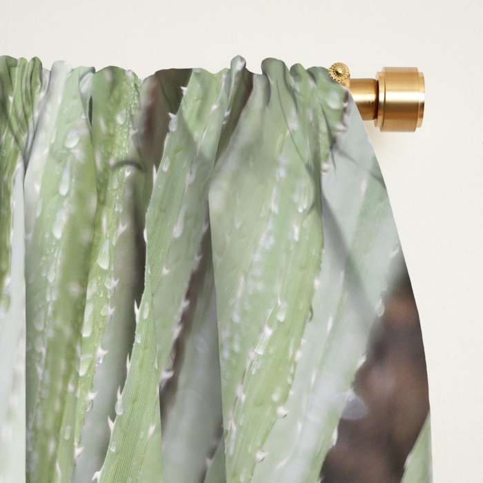 Sage green yucca plant - desert plant mexico - travel photography   Window Curtain Gallery Image 2