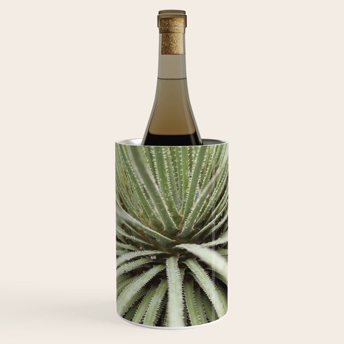 Sage green yucca plant - desert plant mexico - travel photography   Wine Chiller Gallery Image 1