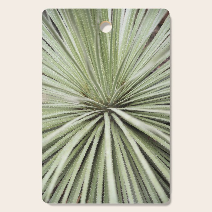 Sage green yucca plant - desert plant mexico - travel photography   Cutting Board Gallery Image 1
