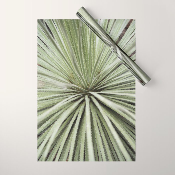 Sage green yucca plant - desert plant mexico - travel photography   Wrapping Paper Gallery Image 1