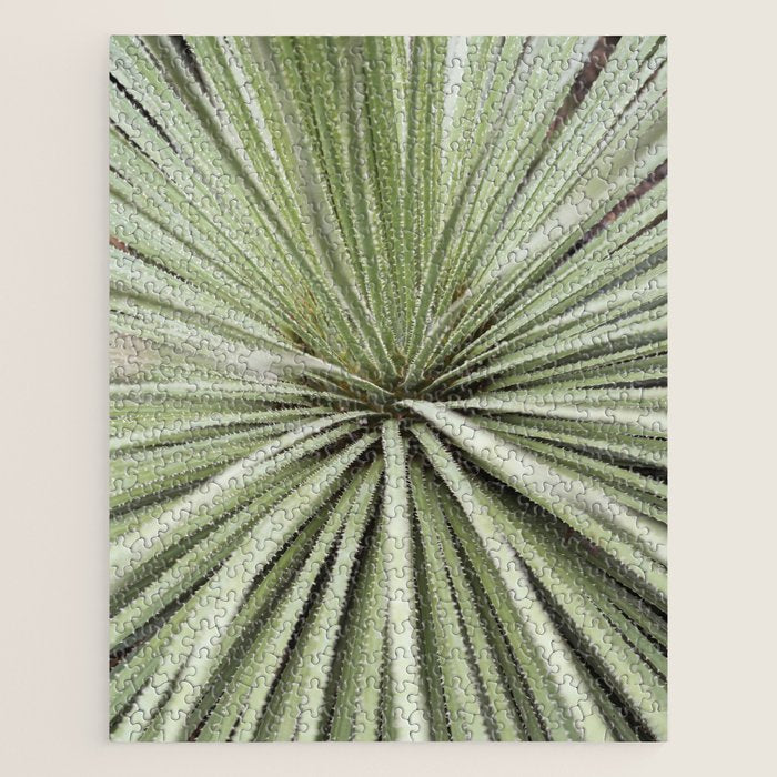 Sage green yucca plant - desert plant mexico - travel photography   Jigsaw Puzzle Gallery Image 1