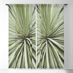 Sage green yucca plant - desert plant mexico - travel photography   Window Curtain Gallery Image 5