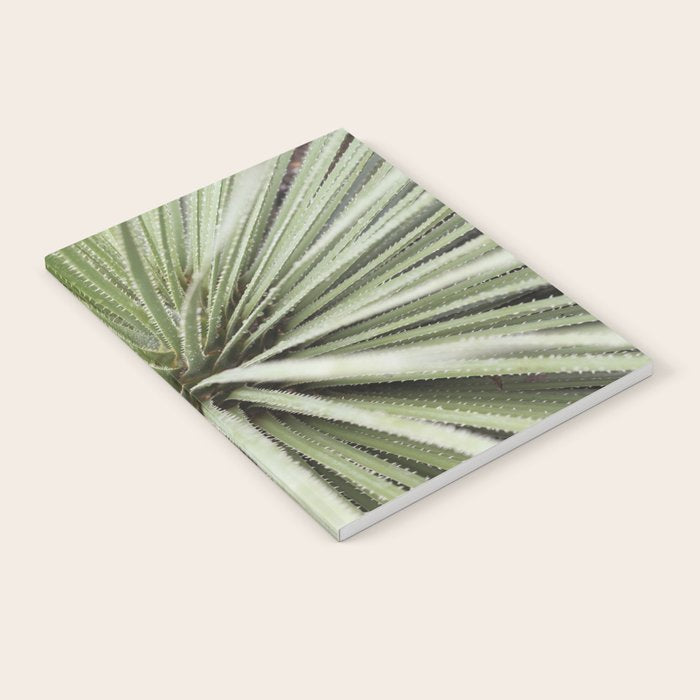 Sage green yucca plant - desert plant mexico - travel photography   Notebook Gallery Image 2