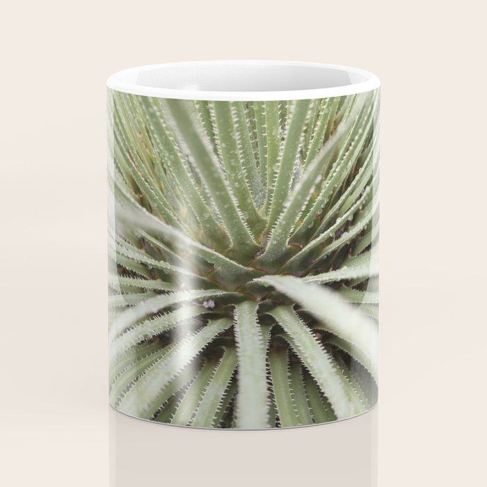 Sage green yucca plant - desert plant mexico - travel photography   Coffee Mug Gallery Image 4