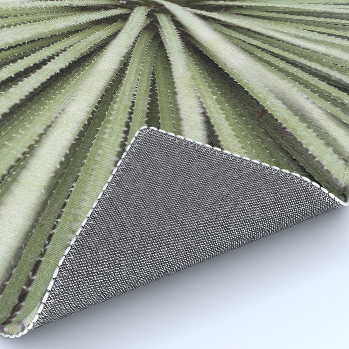 Sage green yucca plant - desert plant mexico - travel photography   Rug Gallery Image 4