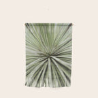 Sage green yucca plant - desert plant mexico - travel photography   Wall Hanging Gallery Image 1