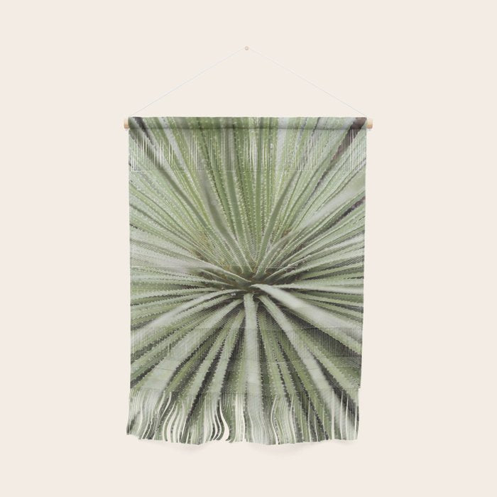 Sage green yucca plant - desert plant mexico - travel photography   Wall Hanging Gallery Image 1