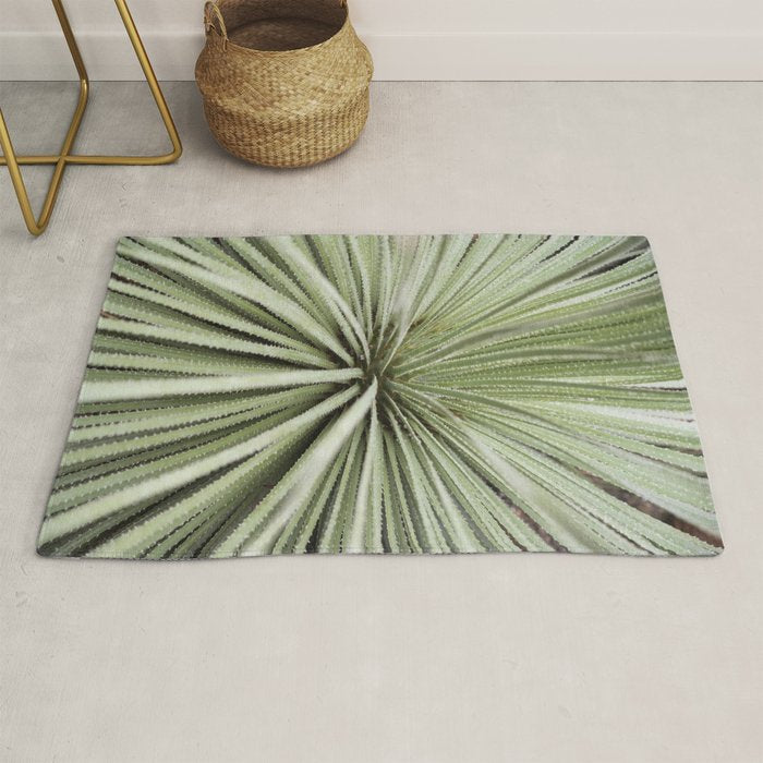 Sage green yucca plant - desert plant mexico - travel photography   Rug Gallery Image 1