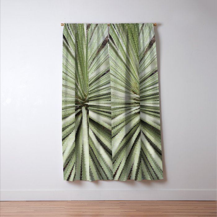 Sage green yucca plant - desert plant mexico - travel photography   Window Curtain Gallery Image 3