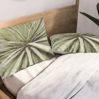 Sage green yucca plant - desert plant mexico - travel photography   Pillow Sham Gallery Image 2