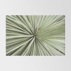 Sage green yucca plant - desert plant mexico - travel photography   Rug Gallery Image 2