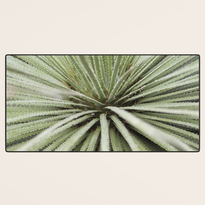 Sage green yucca plant - desert plant mexico - travel photography   Desk Mat Gallery Image 3