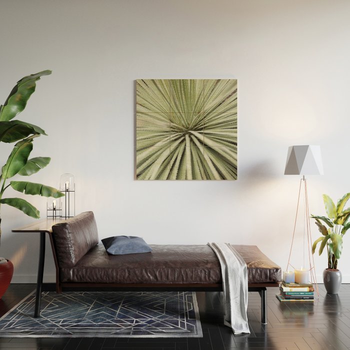 Sage green yucca plant - desert plant mexico - travel photography   Wood Wall Art Gallery Image 2