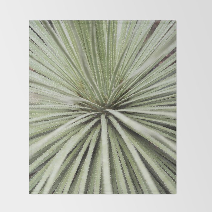 Sage green yucca plant - desert plant mexico - travel photography   Throw Blanket Gallery Image 2