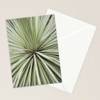 Sage green yucca plant - desert plant mexico - travel photography   Stationery Card Gallery Image 2