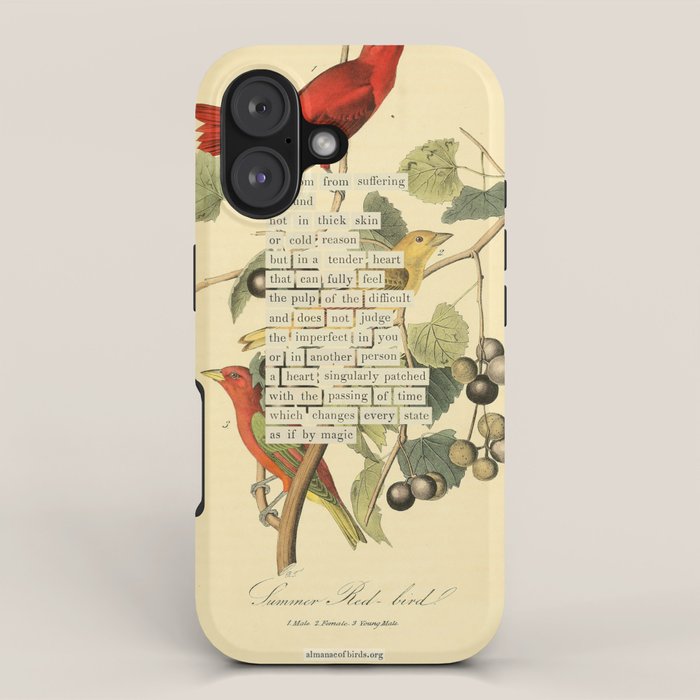 Bird Divinations: Summer Red-bird (about: almanacofbirds.org)  iPhone Case Gallery Image 1