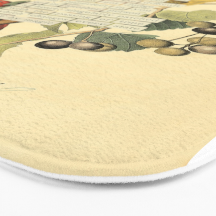 Bird Divinations: Summer Red-bird (about: almanacofbirds.org)  Bath Mat Gallery Image 3