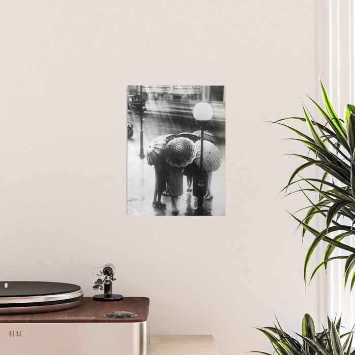 Friends in the Rain with Umbrellas black and white photography Poster Gallery Image 2