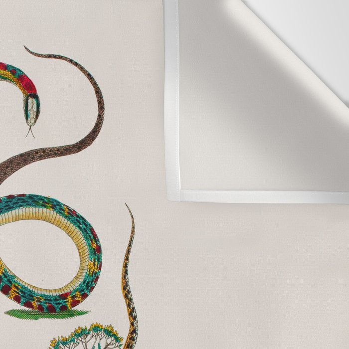 Albertus Seba Snakes And Lizards Teal Wall Tapestry Gallery Image 3