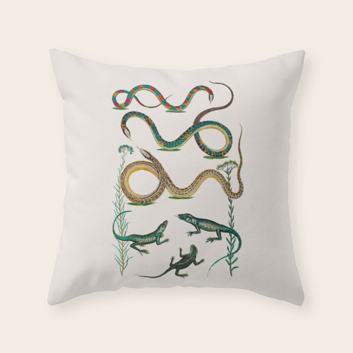 Albertus Seba Snakes And Lizards Teal Throw Pillow Gallery Image 6