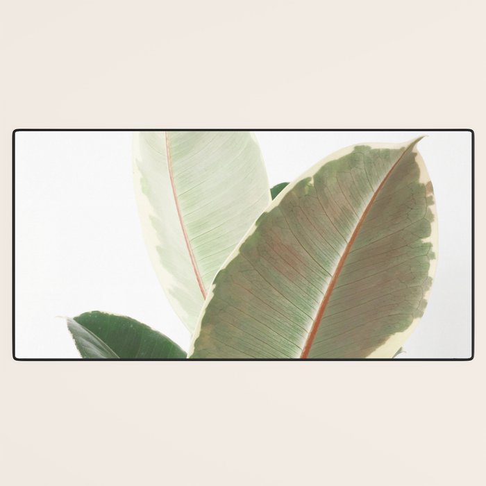 Ficus Teneke Desk Mat Gallery Image 3