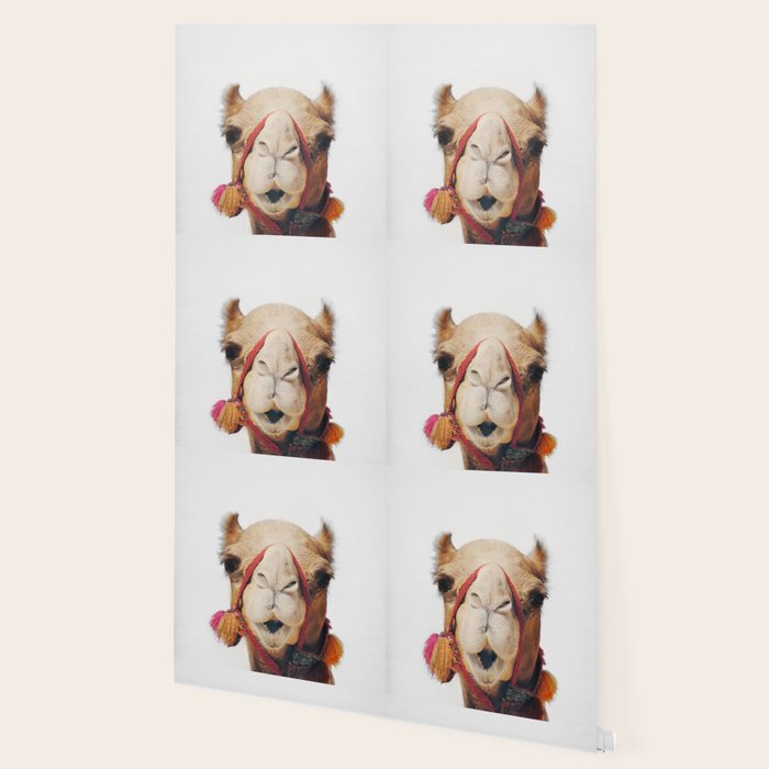 Camel Wallpaper Gallery Image 2