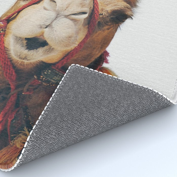 Camel Rug Gallery Image 4