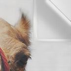 Camel Wall Tapestry Gallery Image 3
