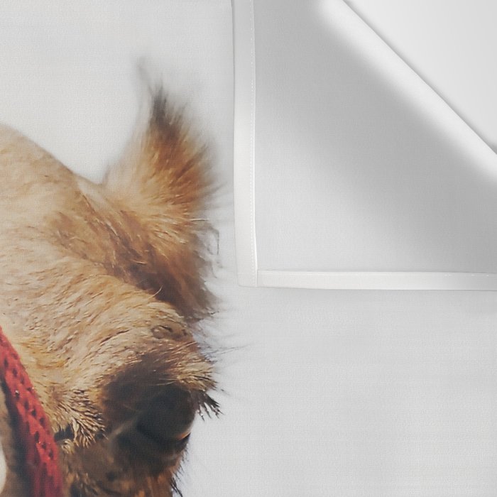 Camel Wall Tapestry Gallery Image 3