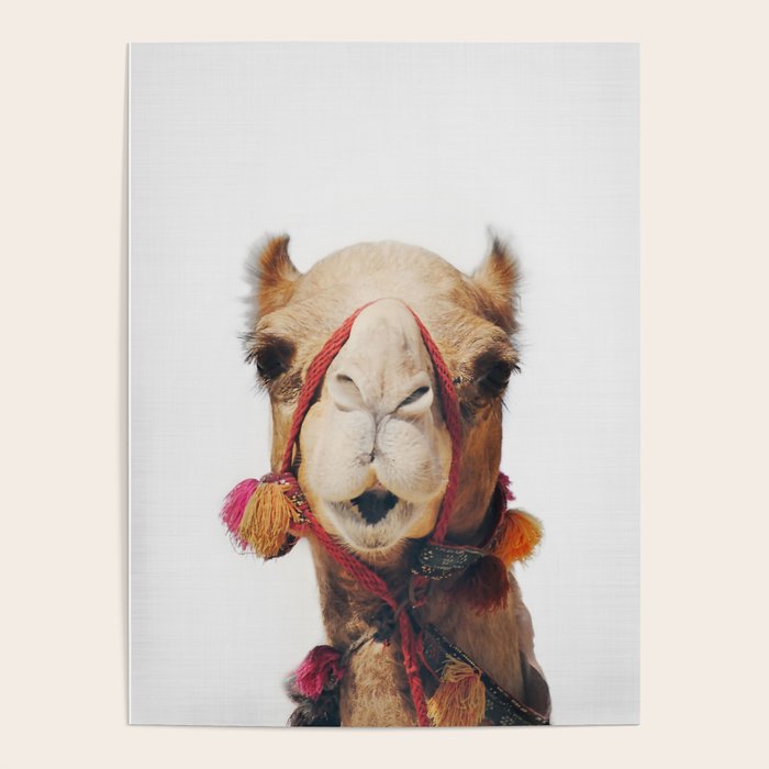 Camel Poster Gallery Image 1