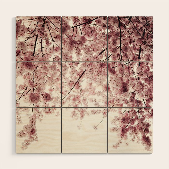 Cherry Blossoms Wood Wall Art Gallery Image 1