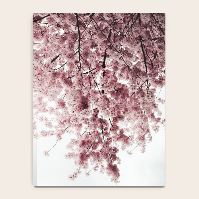 Cherry Blossoms Notebook Gallery Image 4