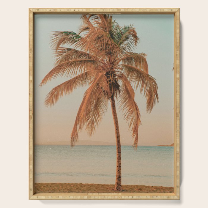 palm tree sunset ii Serving Tray Gallery Image 1