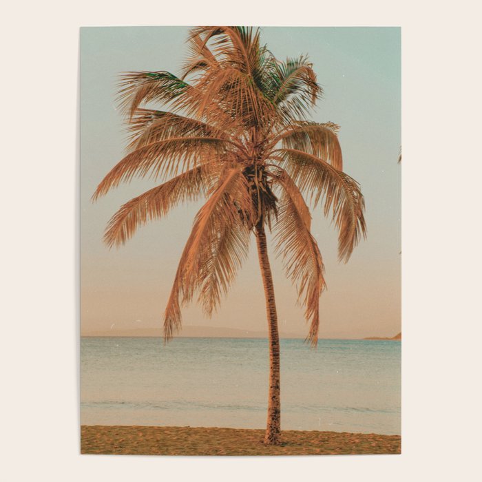 palm tree sunset ii Poster Gallery Image 1