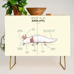 Anatomy of an Axolotl Credenza Gallery Image 1